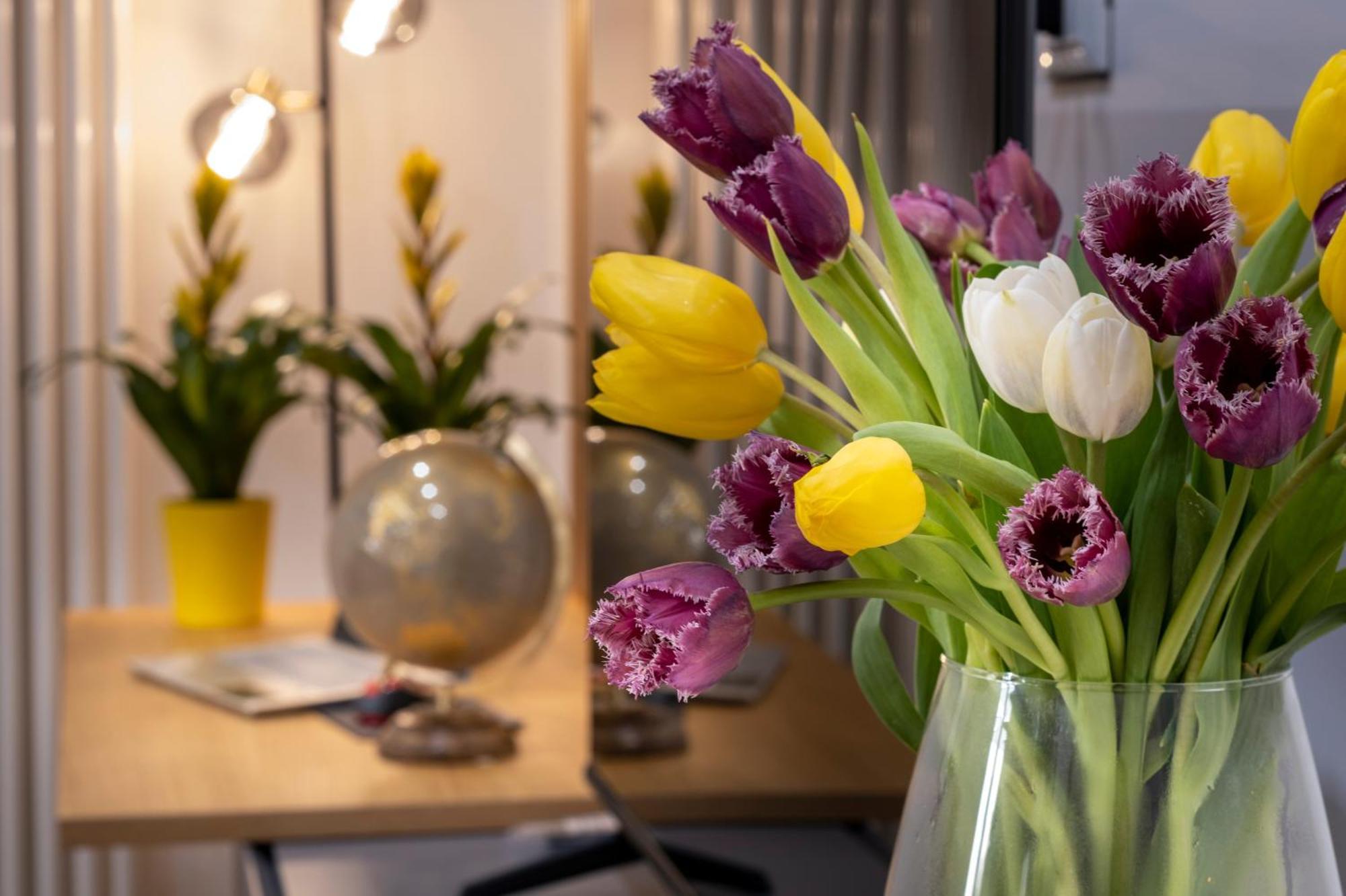 Ducrot Apartment Palermo Ngoại thất bức ảnh